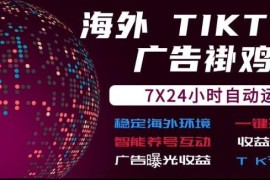 海外TikTok挂G流量变现项目解析 7×24自动运行广告收益日结