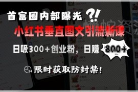 小红书垂直图文引流创业粉实操课 精准获客变现玩法全解析