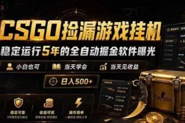 CSGO饰品自动捡漏掘金项目详解 新手易上手操作门槛低