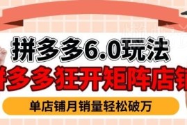 2025拼多多虚拟商品6.0玩法 零基础开店运营全流程实操教程
