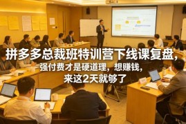 拼多多总裁班2天线下特训营复盘 强付费玩法破解店铺盈利瓶颈
