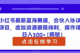 小红书合伙人协议书蓝海项目玩法 虚拟资源纯利操作指南