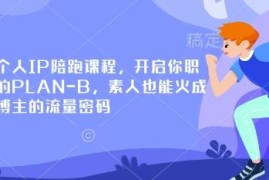 小红书个人IP陪跑课程 素人零基础打造爆款账号实用教程