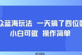 2025小白可做的小众蓝海副业 操作简单单日收益可达四位数