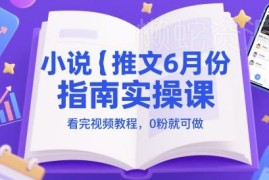 6月最新小说推文实操指南 0基础0粉可做的副业运营教程