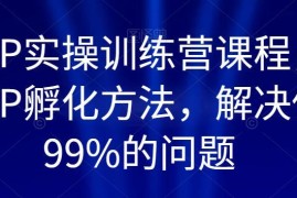 百万IP实操训练营课程 全链路IP孵化方法解决99%做号难题