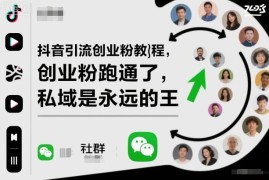 抖音引流创业粉实操教程 高价值创业粉私域运营变现全攻略