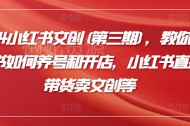 2024第三期小红书文创运营教程 养号开店直播带货全流程教学