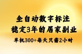 全自动数字标注蓝海副业拆解 居家可做的稳定长期增收项目指南