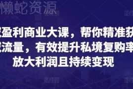 全域盈利商业大课详解 公域获客私域复购及持续变现方法教学
