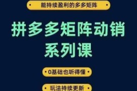拼多多矩阵动销实战系统课 0基础可学 覆盖运营推广全流程盈利玩法