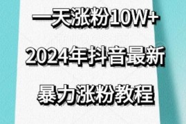 2024抖音最新未和谐涨粉教程 搬运视频去重实操方法分享