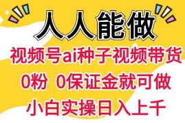 视频号AI种子带货实操方法 0粉0保证金普通人可上手项目
