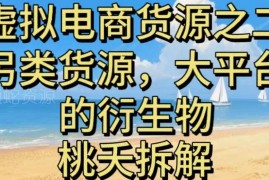 虚拟电商另类货源盘点 大平台衍生业务及莆田系实体项目解析