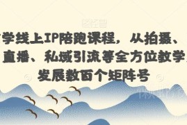 国学玄学线上IP陪跑课程 全链路运营矩阵号搭建实操教学