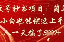公众号小绿书抄书项目实操拆解 零写作基础小白可快速上手变现