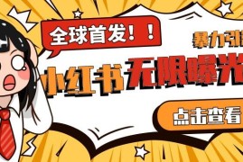 小红书无限曝光Pro版实操方法 全领域精准获粉规避平台监测