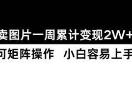 小红书卖图片蓝海变现项目教程 零基础小白易上手周入可达2W+