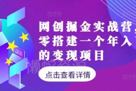 网创掘金实战营实操教程 从零搭建年入百万变现项目指南