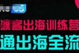 出海训练营基础课分享 跑通出海全流程含实战案例及配套资料