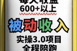 被动收入实操3.0项目介绍 长期可操作收益稳定易上手