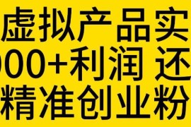 拼多多虚拟产品实操全流程 月赚5000+还可引流精准创业粉