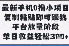 最新手机端0撸小项目 平台放量期复制粘贴单日收益超300元