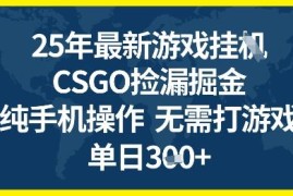 2025年CSGO游戏搬砖项目 全自动挂机手机操作赚钱方法揭秘