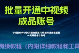 无需剪辑无需代过 中视频伙伴计划快速通过暴力开通教程