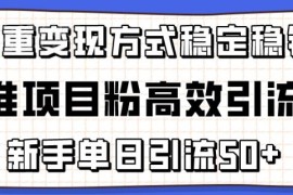 精准项目粉高效引流实操指南 新手操作单日可引流50+支持多重变现