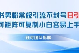 小红书男粉合规不封号引流玩法 日引99+可矩阵复制小白易上手