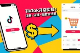 TikTok从开店到投流全流程教程 基础实操到高阶技巧详解