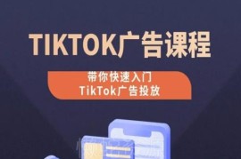 TikTok广告投放0-1实操课程 零基础入门全流程系统教学
