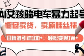 利用AI生成美女骑电车视频起号 精准引流及变现实操教程
