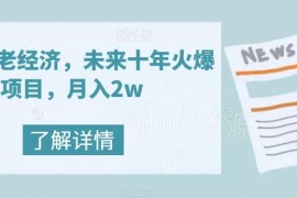 银发养老经济热门实操项目 普通人可落地的月入2万玩法揭秘