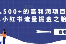 小红书胎教领域流量掘金项目操作 低门槛高利润玩法全解析