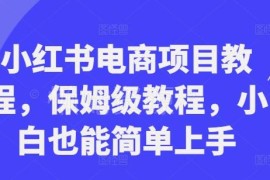 小红书电商开店运营全流程保姆级教程 零基础小白可上手