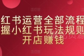 小红书运营全流程实操指南 掌握平台规则开店变现完整攻略