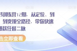 小红书第12期训练营 从定位起号到爆款变现全流程教学