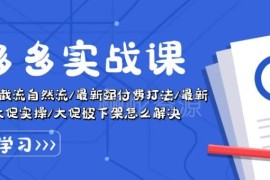 2024拼多多运营实战教程 万人团强付费卡大促等玩法合集