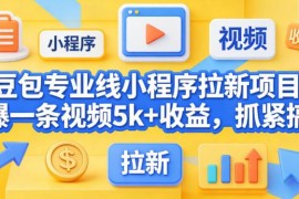 豆包专业线小程序拉新项目玩法 单条爆款视频可获5000+收益