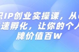 知识IP创业实操课 从0到1孵化打造高价值个人品牌