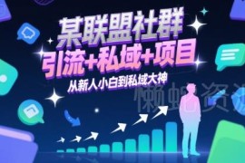 私域运营全流程实操攻略 小白从引流获客到变现进阶大神指南
