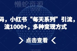 小红书「每天系列」引流玩法拆解 日引千粉及多元变现路径详解