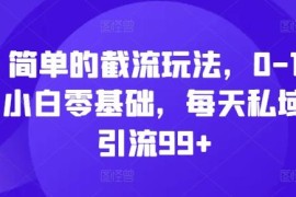 2024零基础小白可上手私域截流玩法 可实现单日引流99+