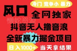 2025年6月抖音无人直播撸音浪项目 低门槛小白可做玩法解析