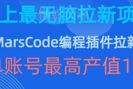 2024豆包MarsCode编程插件拉新玩法 单账号最高产值可达1万元