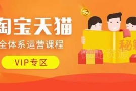 2024年更新淘宝天猫全体系运营课程 含动销选品实操玩法