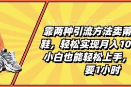 高端潮鞋生意两种引流方法 小白每天1小时可上手月入过万