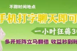 正规手机打字聊天赚钱项目实操 多号运营收益翻倍提现秒到账